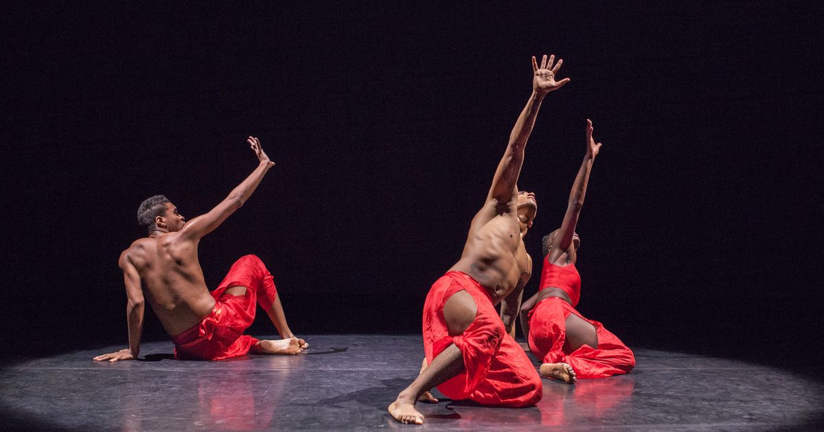 Shell Pulse Dance Pulse | Dansens Hus