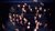 Mia Habib A song to 2016 Photograph c M Korbel2